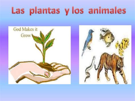 plantas y animales-1